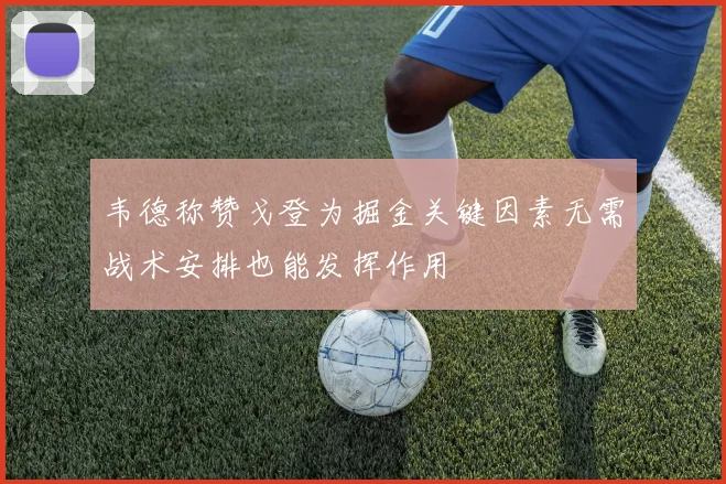 韦德称赞戈登为掘金关键因素无需战术安排也能发挥作用